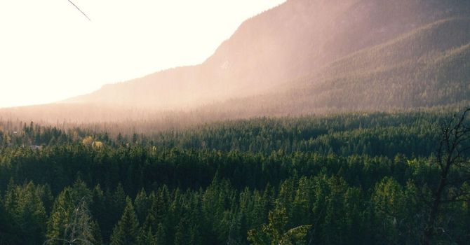 Understanding Active Release Technique (ART) image